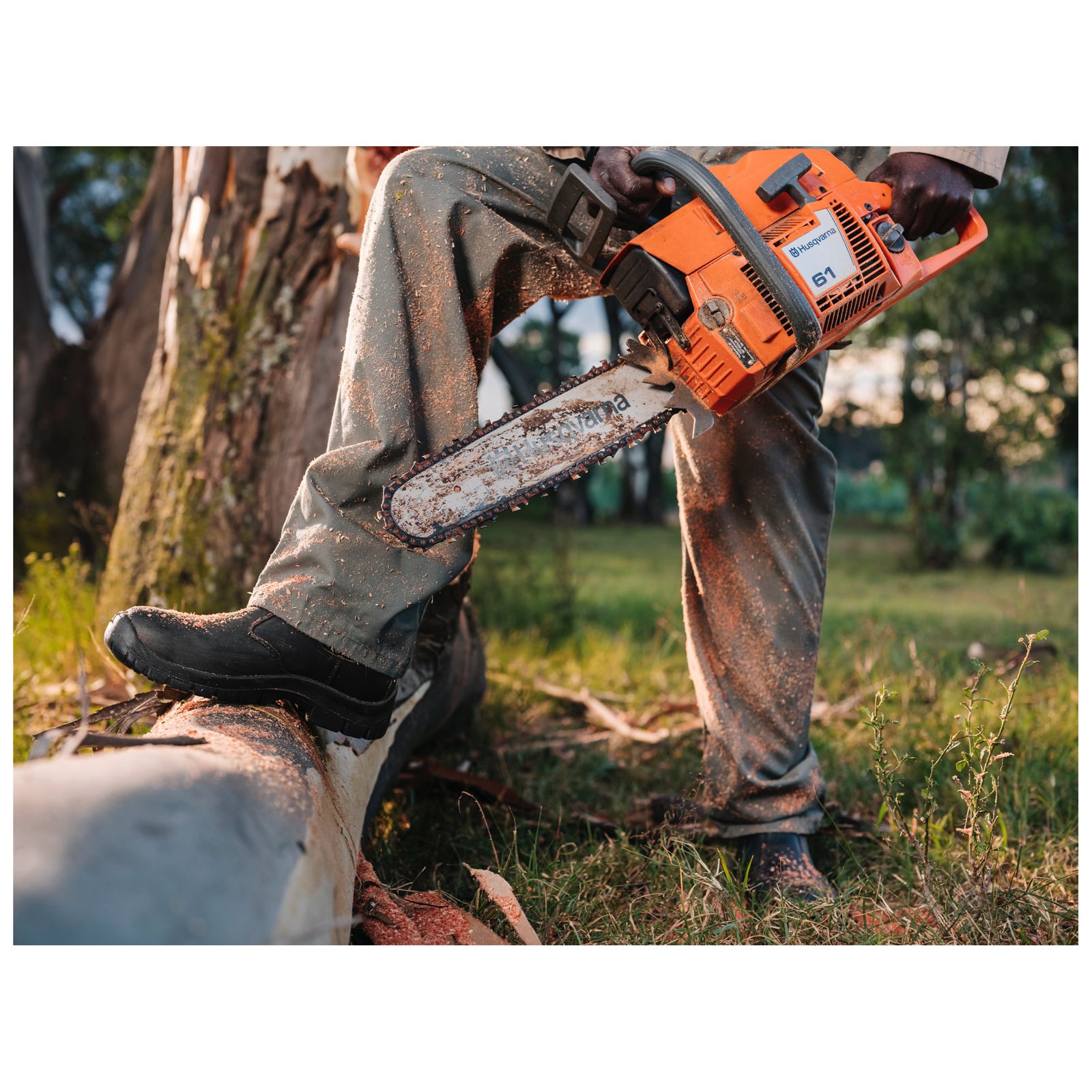 WhatsApp Image 2023-10-06 at 09.27.31 (1)