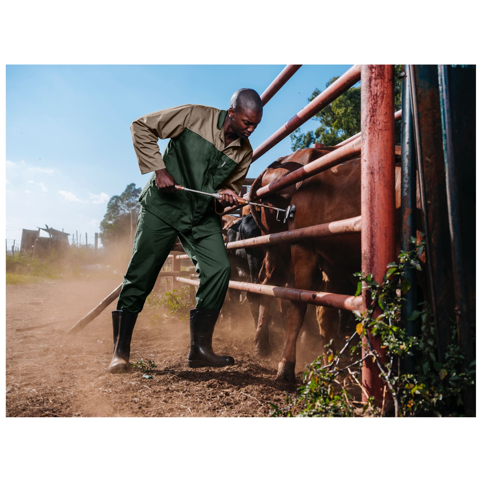 WhatsApp Image 2023-10-06 at 09.27.35 (1)